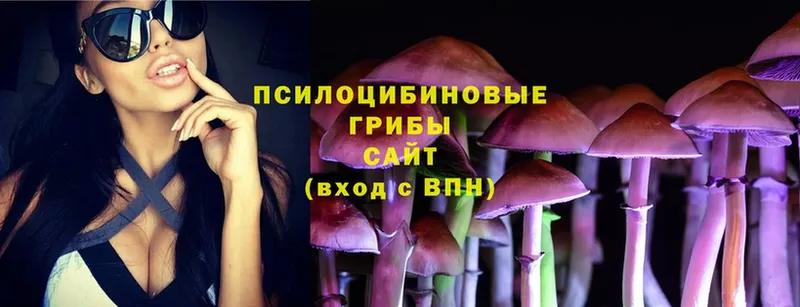 блэк спрут ссылки  купить  сайты  Бор  Псилоцибиновые грибы Psilocybe 